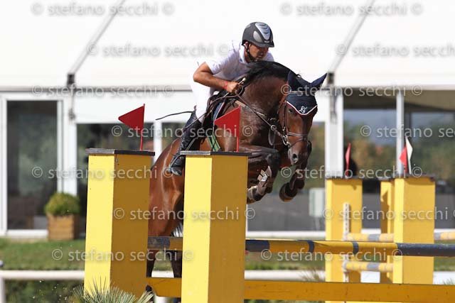 METRANGOLO_GREAT QUALITY_ECC_2011_SS3_8618.jpg